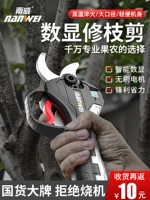 南威 Электрические ножницы зарядки фруктовых деревьев.