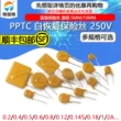 Cầu chì có thể đặt lại PPTC 250V 0,06A 0,1/0,2/0,6/0,8 1A 2A cầu chì cắm trực tiếp Cầu chì