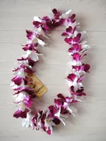 Гавайская травяная юбка танцевать кольцо танцевать