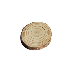 Chic Rose Solid Wood Annual Ring Disk Candle Spacer Diy Handmade Posing Photography Props Model Decorative Ornaments