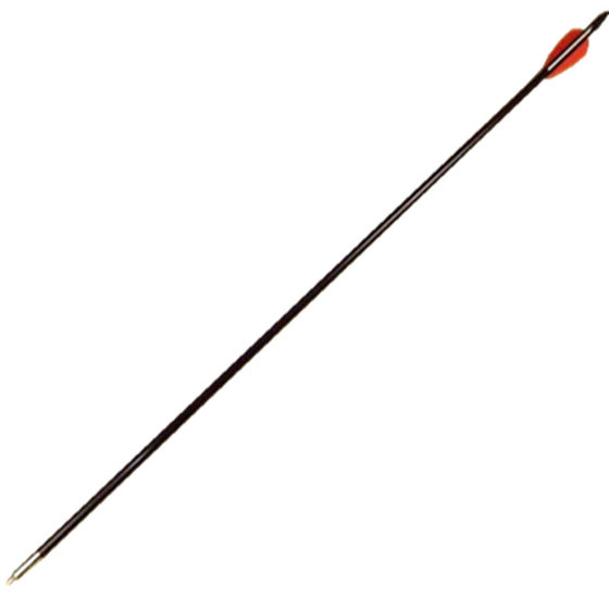 
Bow and arrow high speed high strength explosion-proof tail fiberglass arrow archery fiberglass arrow shooting bow and arrow arrow free shipping