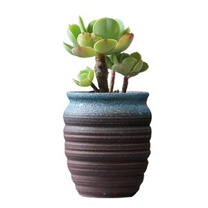 Succulent pot ceramic rough ceramics, creativity, succulent, creative retro, small old Zhuangzhuang plant succulent basin clear warehouse