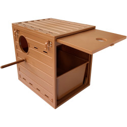 Free shipping for pet bird parrot export European breeding