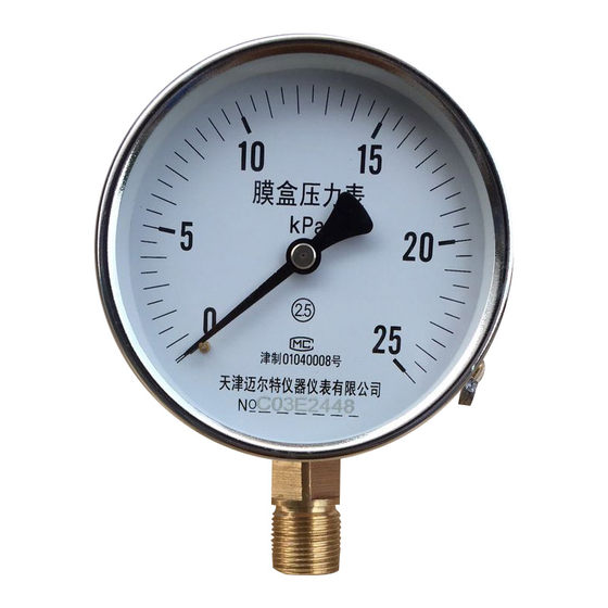 Free shipping YE100 membrane box pressure gauge 0-10/16/25/40/60/100KPA kPa natural gas pressure gauge
