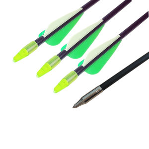 
Fiberglass Arrow Mixed Carbon Arrow Pure Carbon Arrow Practice Arrow Reverse Beautiful Hunting Complex Straight Pull Traditional Archery Competition Arrow Branch