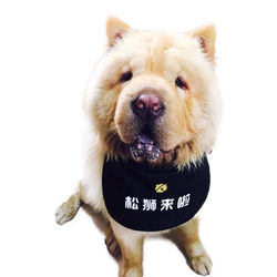 Customized name triangle scarf pet waterproof cotton linen