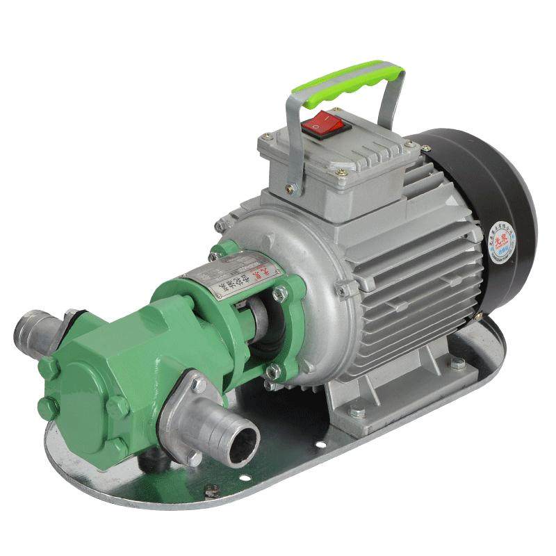 Guangquan Roestvrijstalen Tandwielpomp - 220V Elektrische Hydraulische ...