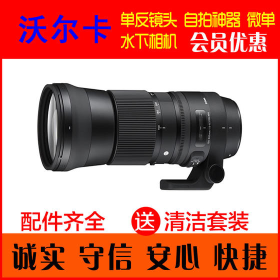 适马 150-600mm f/5-6.3 DG OS HSM C版 出租 租赁 打鸟 演唱会