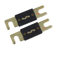 Automotive Fuse Accessories Large Flat Plug Gold-Plated 125A 130A 150A 180A 200A 250A Automotive Fuse