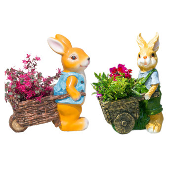 Succulent garden cartoon Weiran flower house