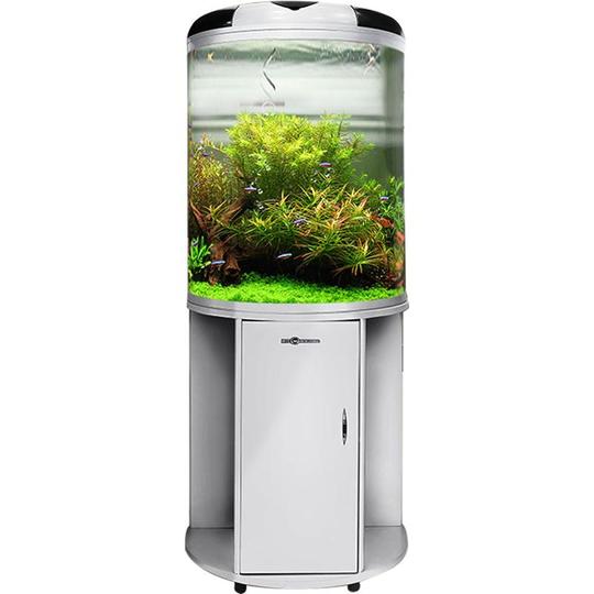 水槽 rtn777 Amazon | 水族館 水槽円筒形透明ガラス水族館タンク厚みのある