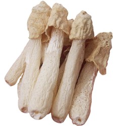 Bamboo Fungus, Bamboo Fungus, Natural Sulfur-free Smoked Mushroom Buds, Farm-produced Dry Goods, Specialty Products, Direct Sales, 1 Pound Of Thick-fleshed Mushrooms
