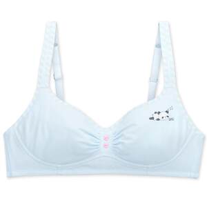Bai Lingli Girl Student Student Underwear Full Cup Thin Steel -No Steel Vest Development Period Junior High School 91097
