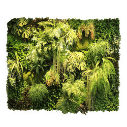 Immortal Plastic Artificial Lawn Plant Moss Wall