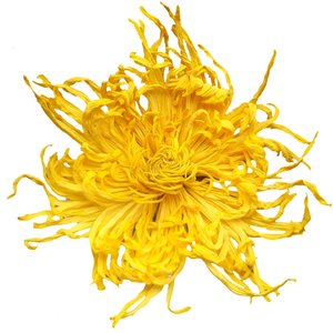 Golden Emperor Chrysanthemum Wolfberry Tea Genuine Huangjue Tea Tire Chrysanthemum Fire Fire Non -Special Gold and Silver Flower Decise