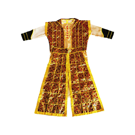 Ancient general clothes and robes - Male imperial guards - Flying fish ...