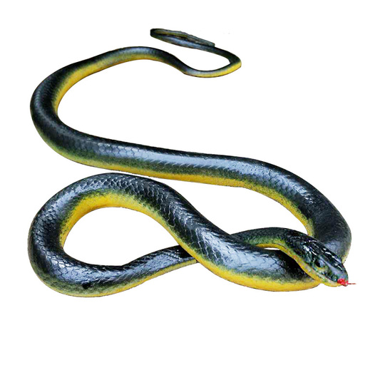 Individual ikki tomonlama kirish