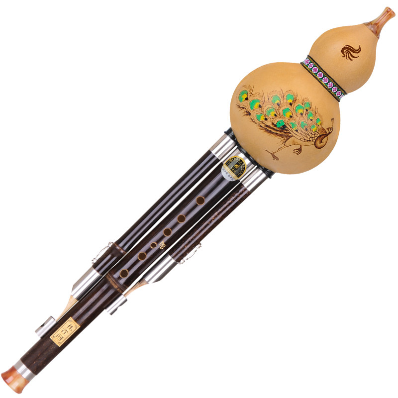 Silk Instrument Peacock River Professional Gourd Silk Musical Instrument for Primary ...