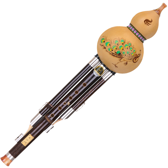 Peacock River Professional Gourd Silk Musical Instrument for Primary ...