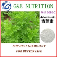 Высококачественное артемизинин 98% Huanghua Artemisia artemisia extract 50g