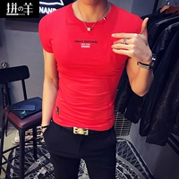 Натриан орангутант t 泶 泶 虻 虻 虻 虻 虻 虻 虻 虻