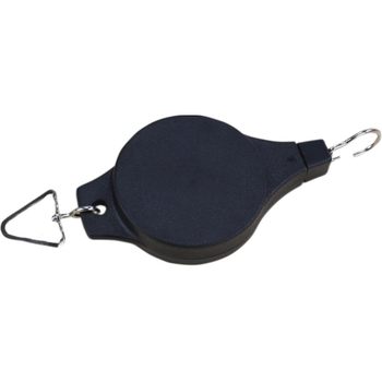 Creative ideas for using bird cage gardening with bird cages
