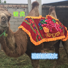 седло 骆驼衣服 骆驼加棉衣服 骆驼鞍子出售骆驼防嗮衣