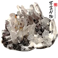 0,3 Природная цветочная железная руда Кристаллическая симбиотическая образец минеральной кристаллической кристаллической груной рудовой этикет