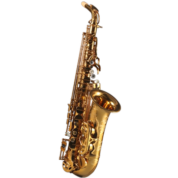 French alto saxophone for beginners