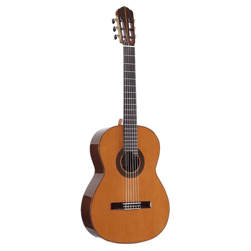 高端跨界吉他尼龙弦古典吉他缺角电箱全单板指弹莱德里奥39寸-Taobao 