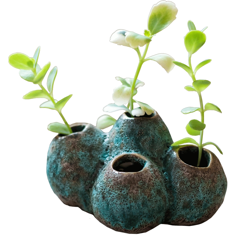 花瓶 花器 壺 掬涵藤壺花瓶花器花盆多孔青苔蘚黃金葛水培禪意茶寵新中式國風