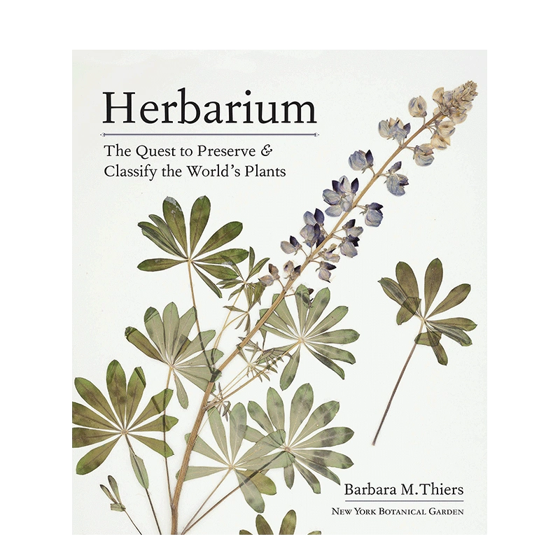 Herbarium 植物標本 - その他観葉植物