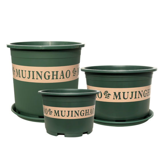 The new thickened second -generation dwarf gallo flower pot plastic green dill rose polynuts balcony household large resin potted plants