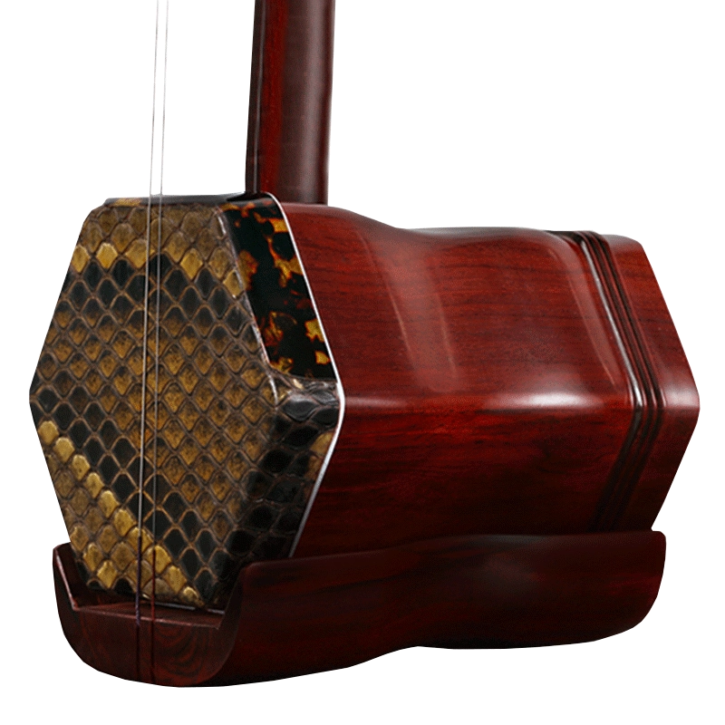 京二胡乐器专业非洲紫檀木京二胡西皮二黄大二黄初学演奏琴