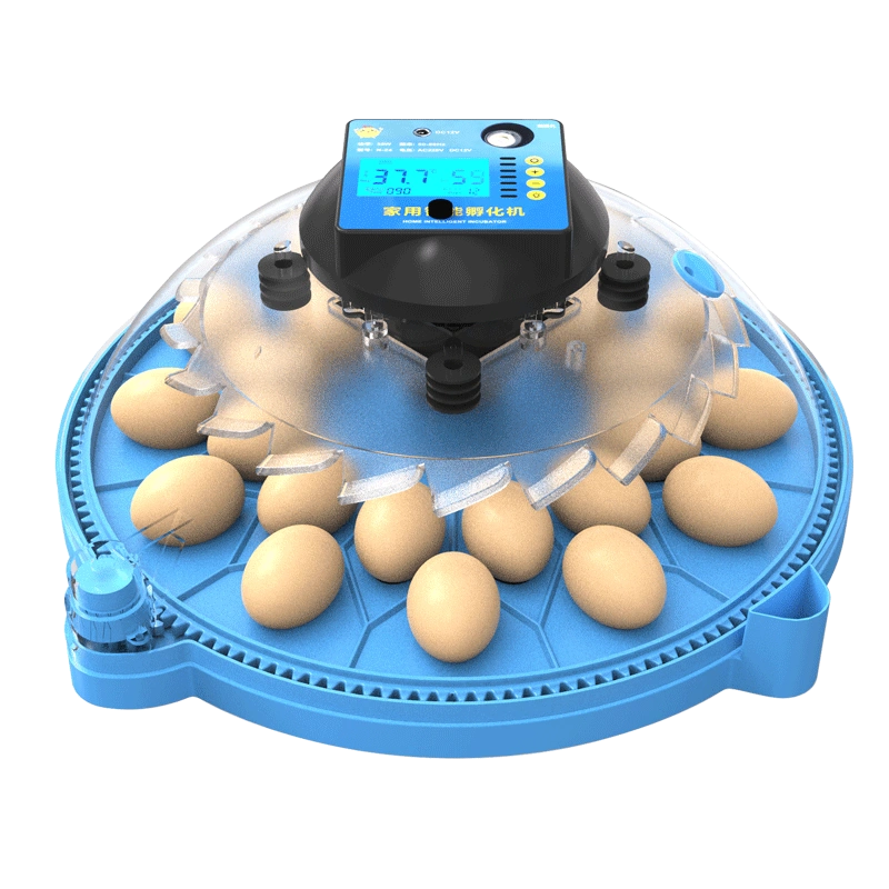 孵化机全自动家用智能小鸡孵化器小型中型芦丁鸡孵蛋器鸡蛋孵化箱-Taobao