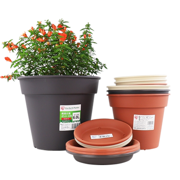 Environmental protection resin Alice in the burn of the wind and open flower pot
