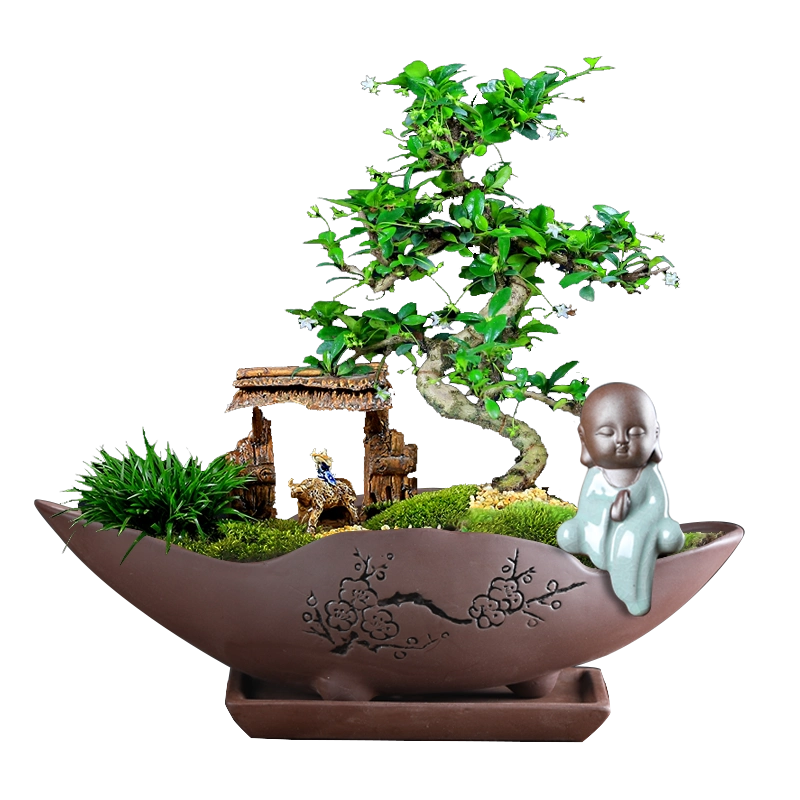 紫砂之苑精品紫砂花盆 - 淘寶網|Taobao