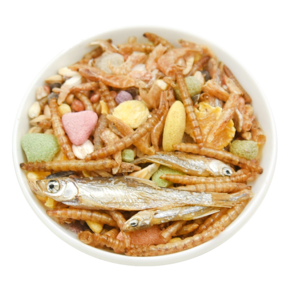 
Hamster food nutrition staple food golden bear mealworm dry snack supplies grain rat food feed for teeth grinding
