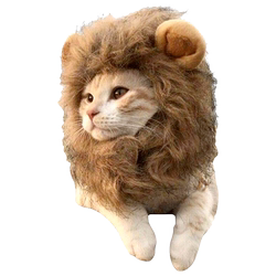 Cat Lion Head Cover Cat Hat Cute Funny Pet Photo Props Puppy Dress Up Clothing Decoration
