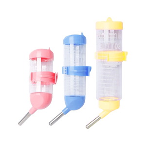 Hammer kettle drinking water heater stainless steel rolled beads, drain -like drinking water bottle rabbit Totoro Dutch pork hedgehog supplies