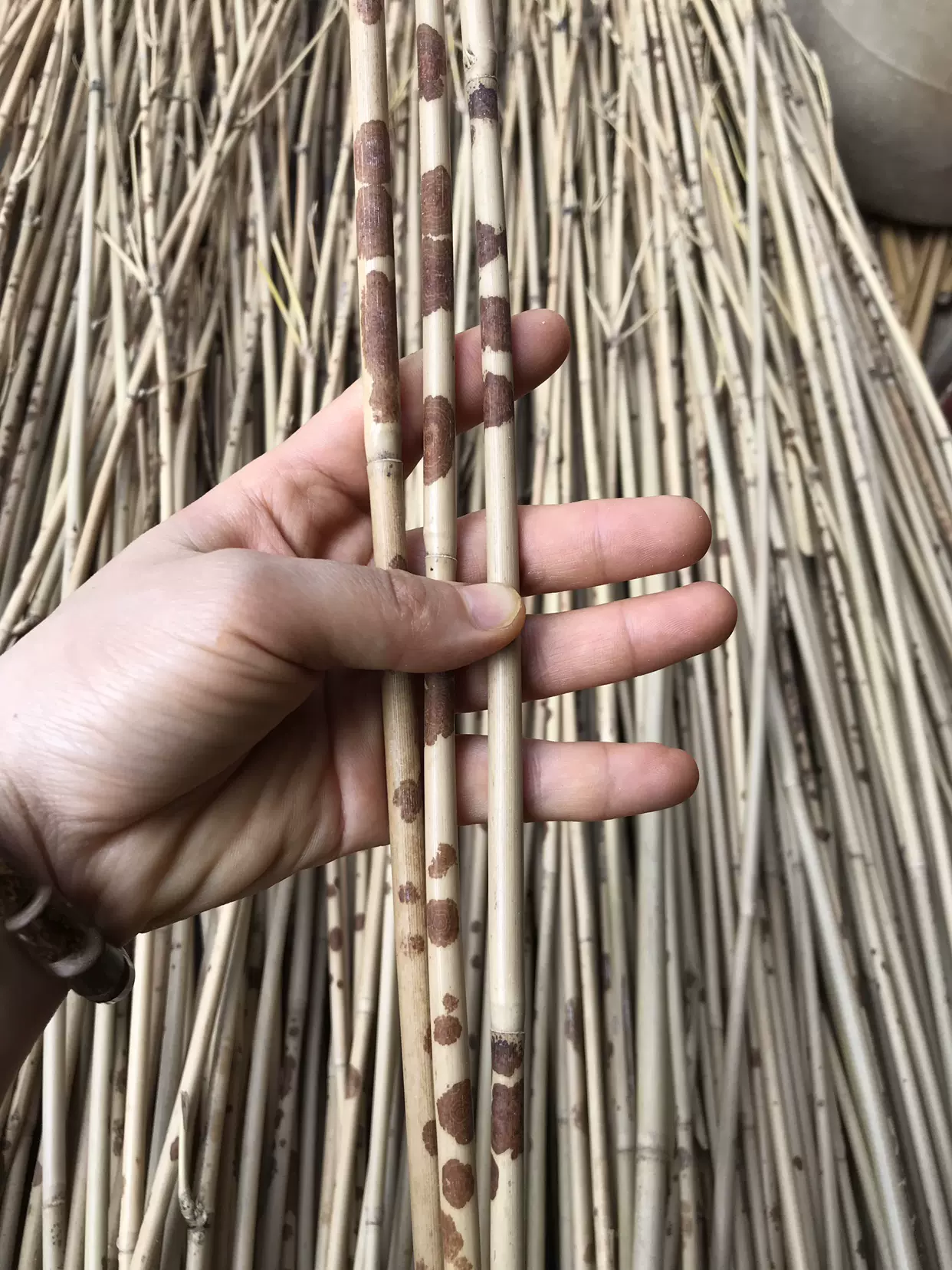 中国古美術 古時代 斑竹 筆入 墨入 班竹 香妃竹 湘妃竹 EJ11B-11 紅湘妃竹黑湘妃竹梅鹿竹香妃斑竹羅漢竹紫竹貴妃毛筆桿