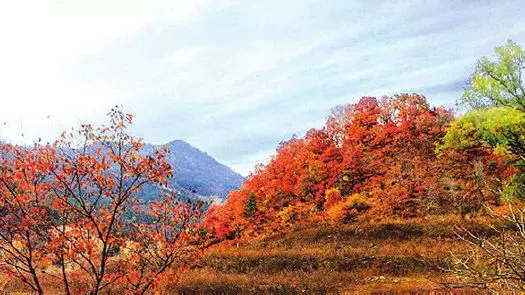 霍山图片