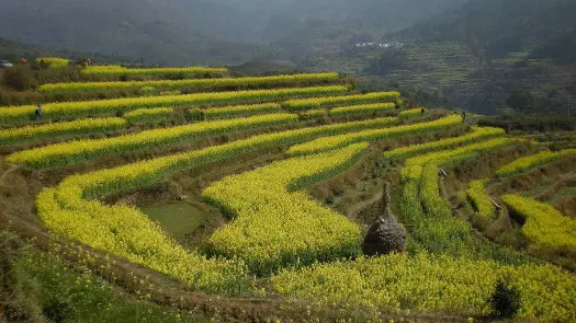 砚山图片