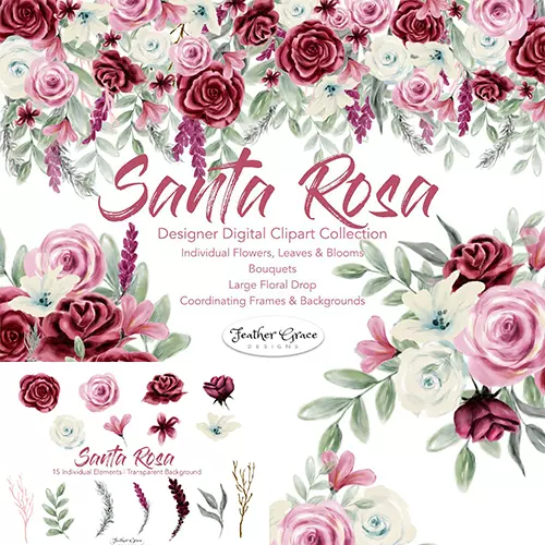 水彩手绘唯美白色红色玫瑰花叶子插画背景花边边框png免抠图