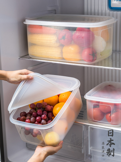 Sanko Japanische Kühlschrank-Aufbewahrungsbox