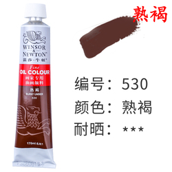 Winsor And Newton Painter's Special Aluminum Tube Oil Paint Oil Paint Winsor Oil Paint Cooked Brown