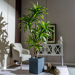 High-End Luxury Artificial Plant, Brazilian Wood Floor-Standing Potted Plant, Indoor Bionic Green Plant, Fake Tree for Landscape Decoration