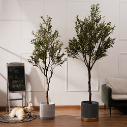 Large Nordic-Style Artificial Tree, Simulated Flower and Green Plant, Olive Tree, Floor-Standing Potted Plant, Living Room Indoor Landscaping Decoration Ornament