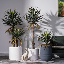 Simulated Dragon Blood Tree, Succulent Agave, Artificial Tree, Bionic Green Plant, Potted Plant, Indoor Living Room Landscaping Decoration Ornament