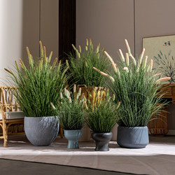 High-End Artificial Reed Grass, Artificial Dog Tail Grass, Fake Flower Plants, Bionic Green Plants, Indoor Landscaping, Light Luxury Decorative Ornaments